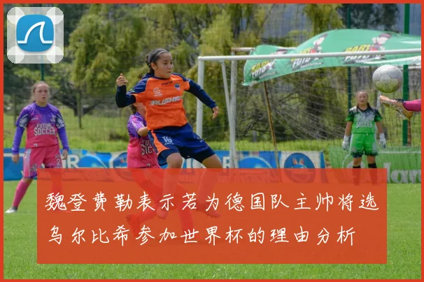 魏登费勒表示若为德国队主帅将选乌尔比希参加世界杯的理由分析