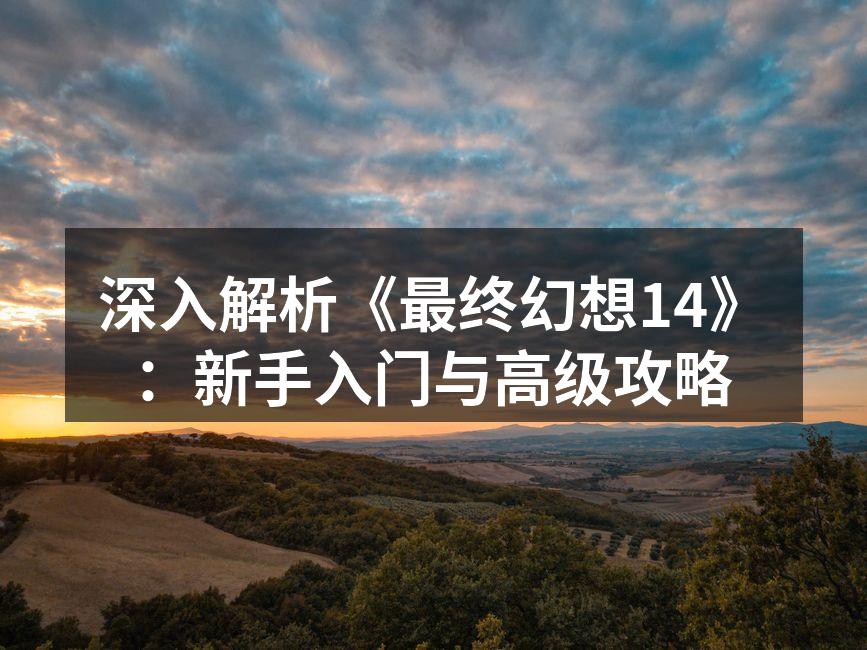 深入解析《最终幻想14》：新手入门与高级