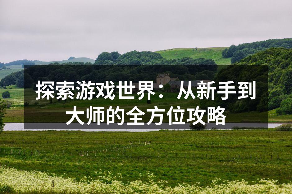 游戏策略全解析